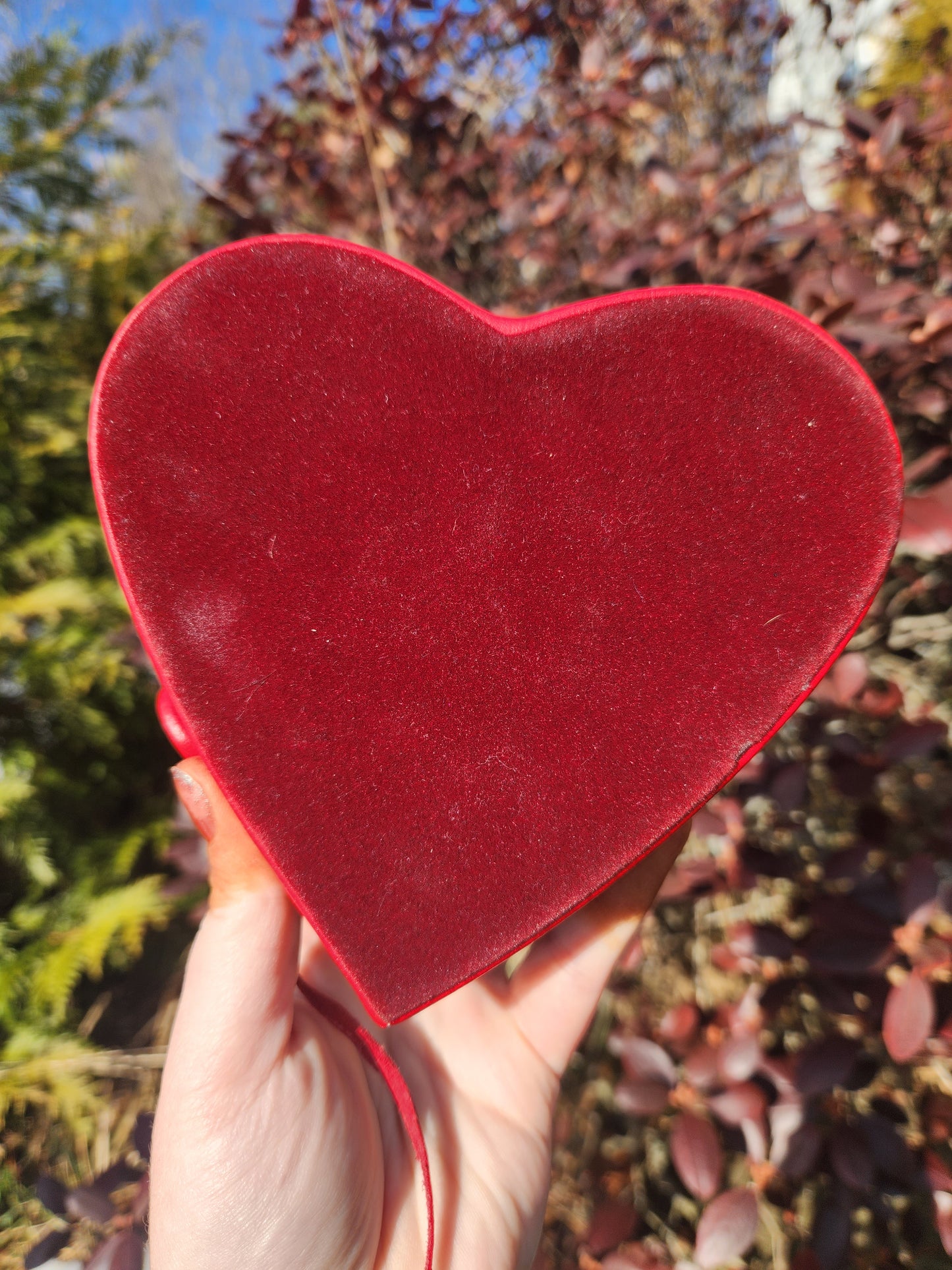 Werepup Valentine Box Original