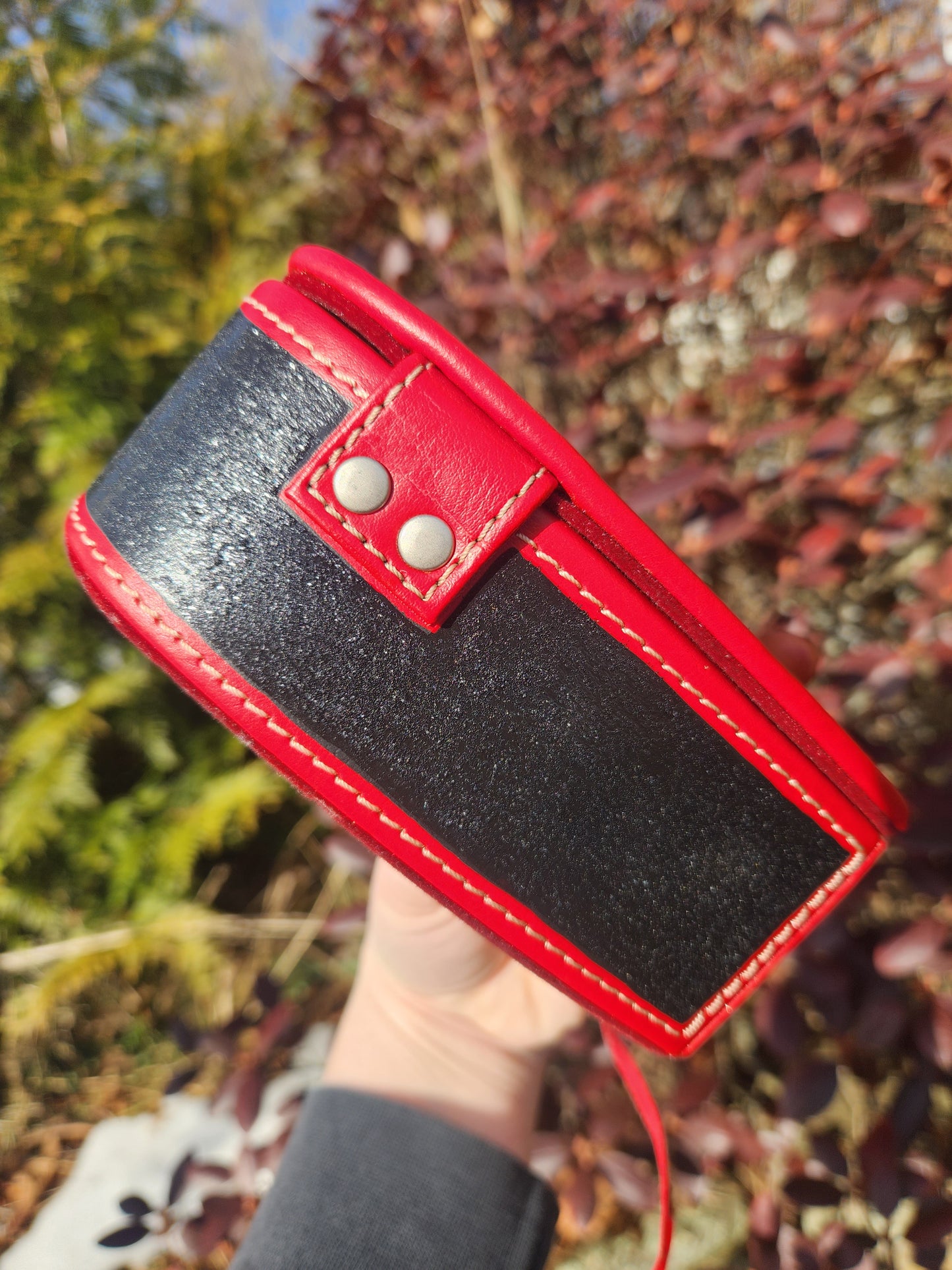 Werepup Valentine Box Original