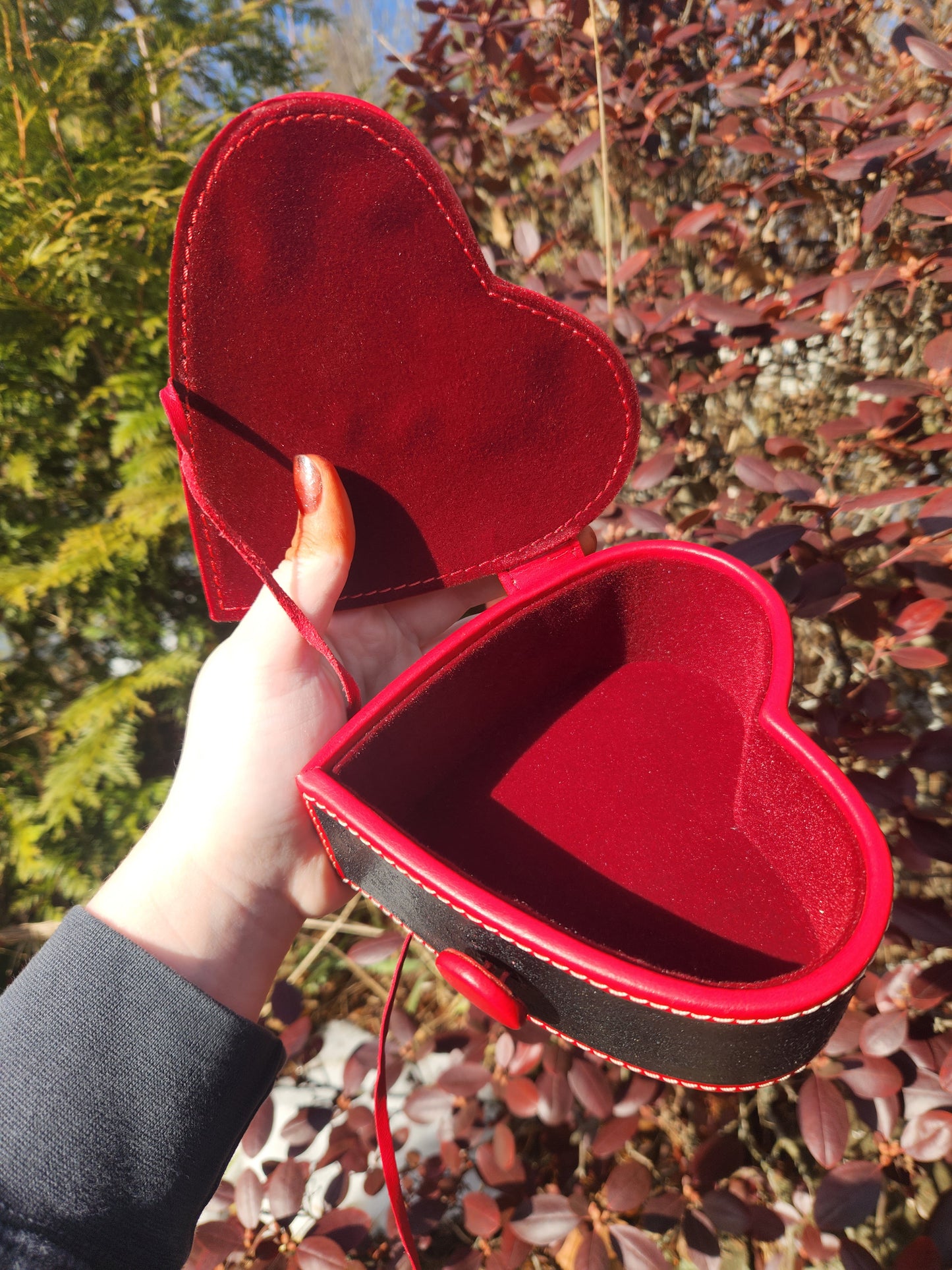 Werepup Valentine Box Original