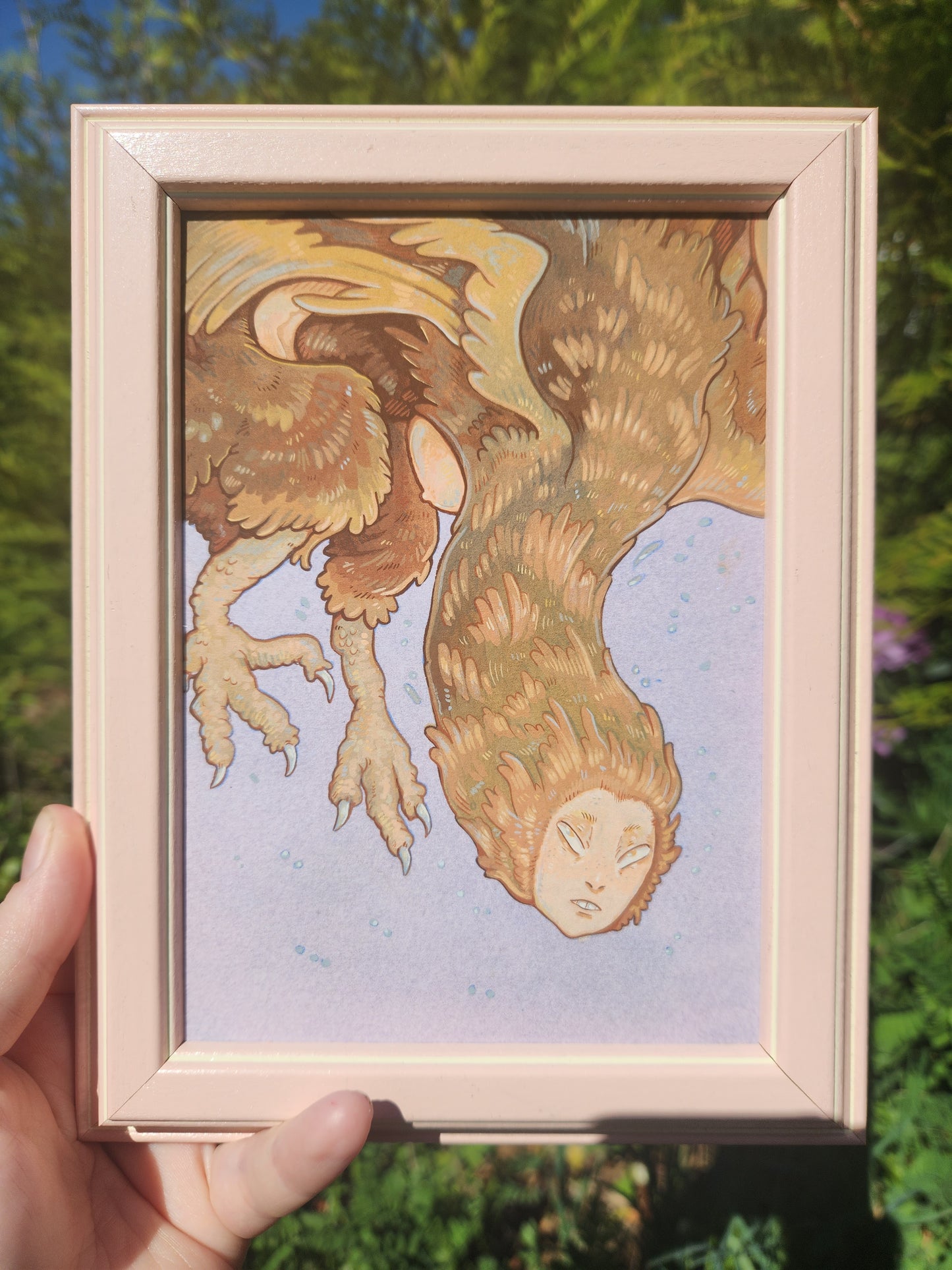 Brown Harpy Original