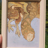 Brown Harpy Original