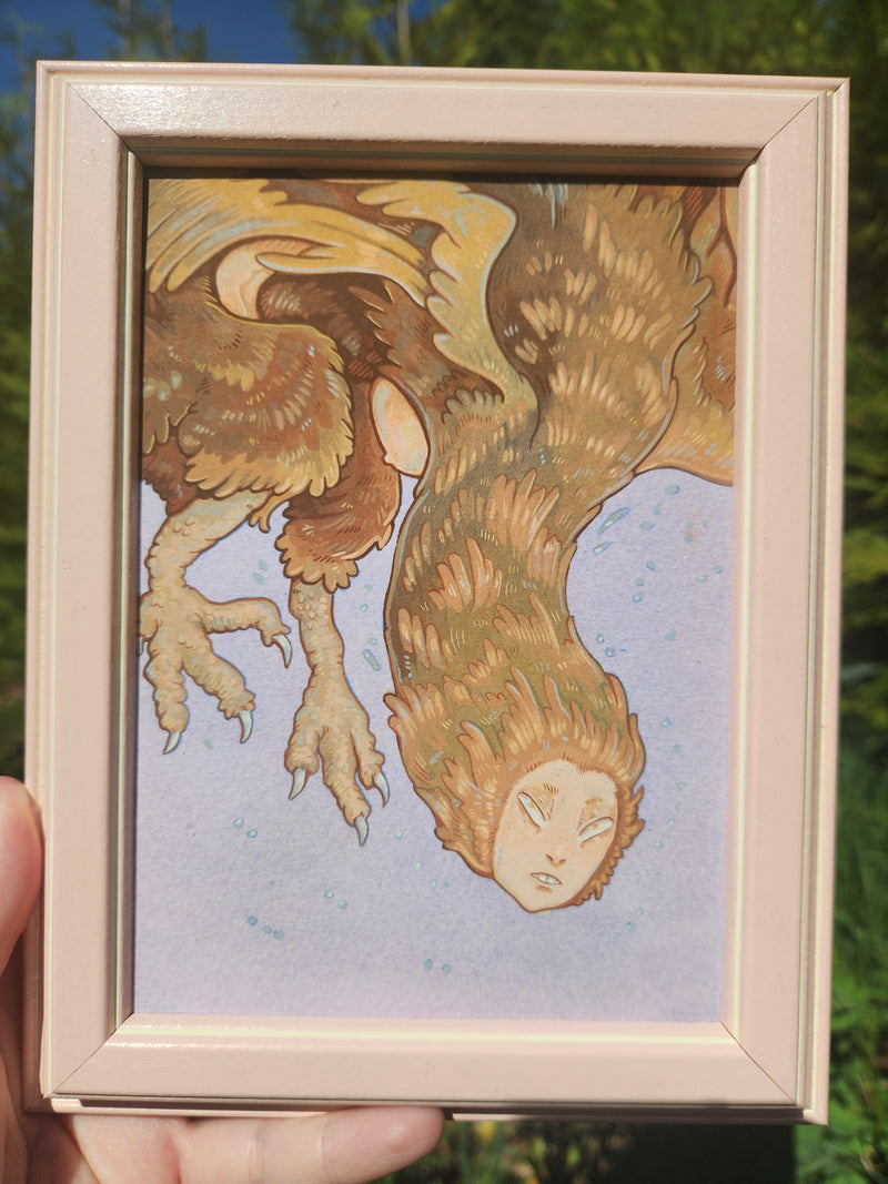 Brown Harpy Original
