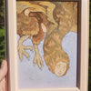Brown Harpy Original