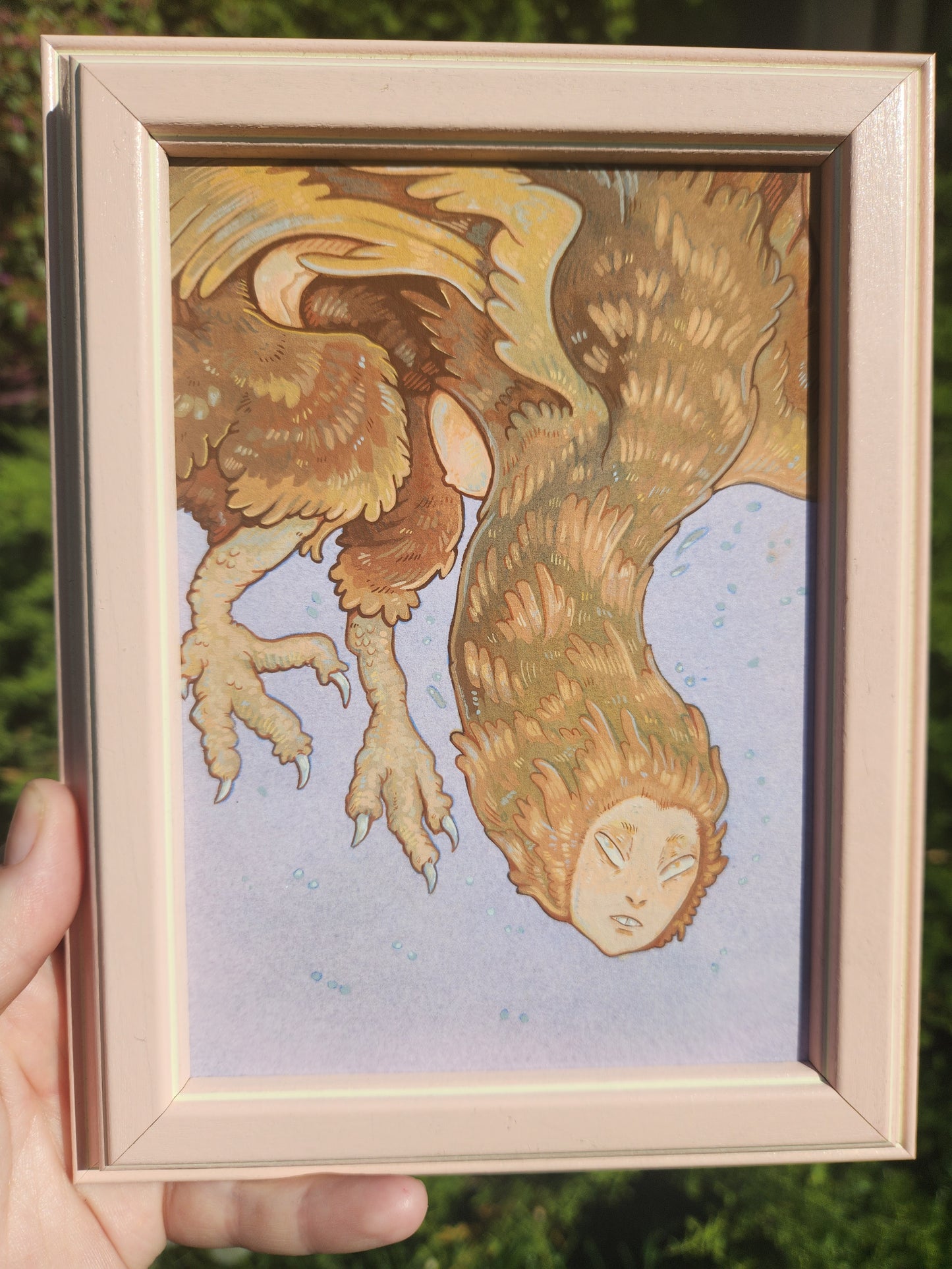 Brown Harpy Original