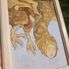 Brown Harpy Original