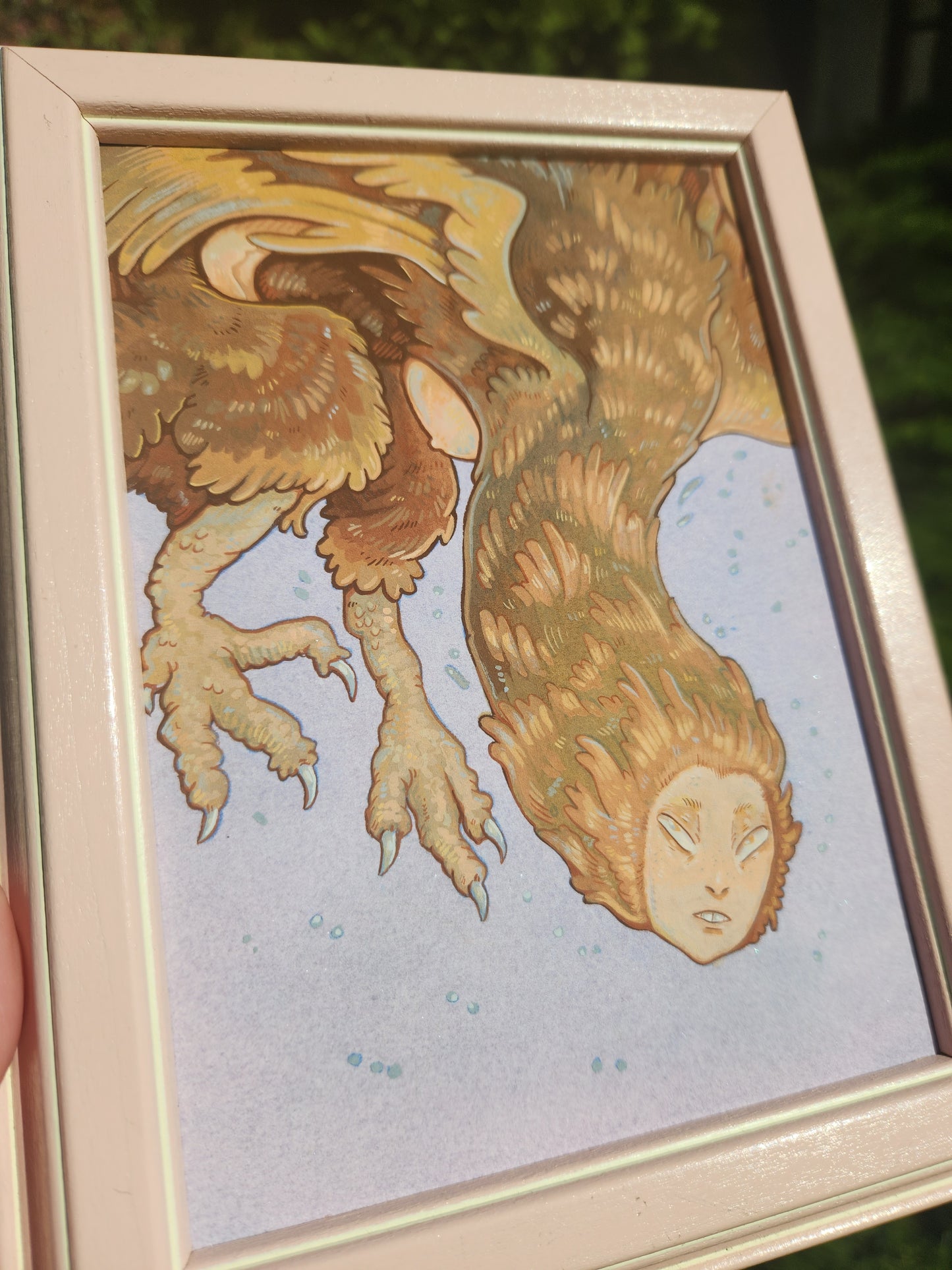 Brown Harpy Original
